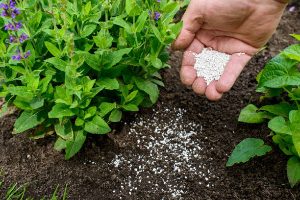 液肥 液体肥料 とは 使い方や与え方とは おすすめの液体肥料をご紹介