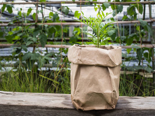 袋のまま栽培 鉢がなくてもそのまま植付できる便利な培養土 厳選６品 Garche