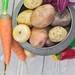 プランターで野菜を育てよう！根菜の栽培方法と最適なプランターをご紹介 - Garché（ガルシェ）