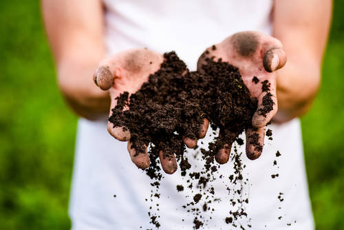 家庭菜園には土の酸度が重要 使い方も簡単に計測できるおすすめ土壌ph測定器特集