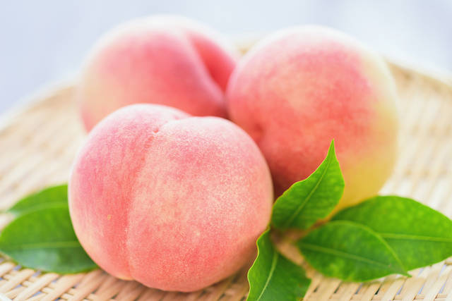桃の栽培方法は 剪定 収穫時期 病気害虫対策 肥料 土壌など 桃の育て方をご紹介