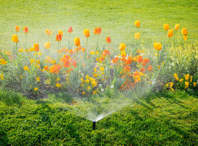 家庭菜園から花壇まで 旅行中や日々の水やりに活用できる自動水やり機の売れ筋ランキング