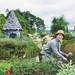 ガーデニングのプロが選んだ庭づくりを楽しく快適にするMYガーデンアイテム「上野ファーム」上野砂由紀さん - ガーデニングのいいモノ見つかる Garché