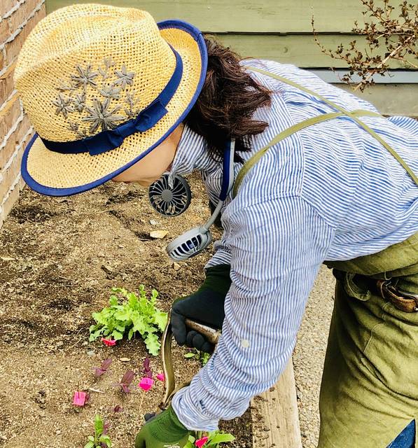ガーデニングのプロが選んだ庭づくりを楽しく快適にするmyガーデンアイテム 上野ファーム 上野砂由紀さん Garche